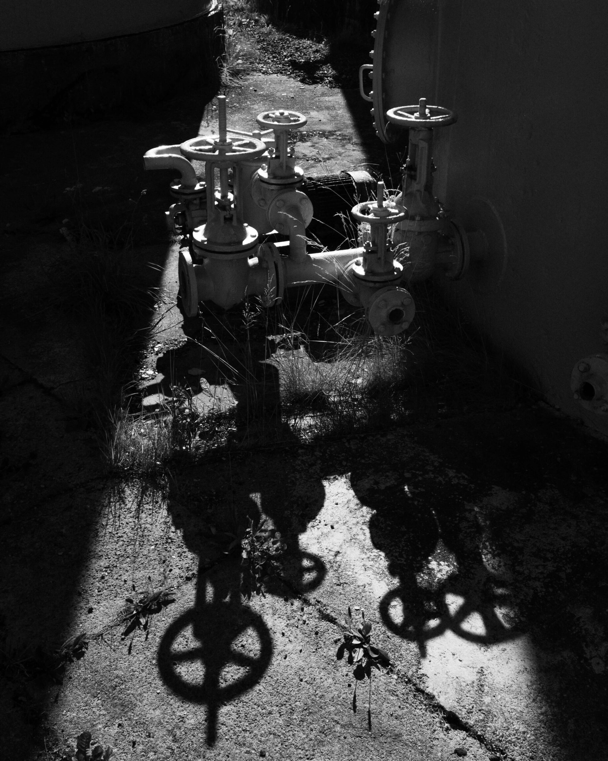 shotby_Svein_H_Olsen_maja_neptun_43